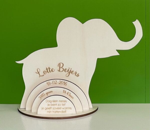 Olifant Regenboog